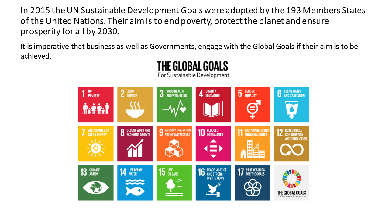 UN Sustainable Development Goals
