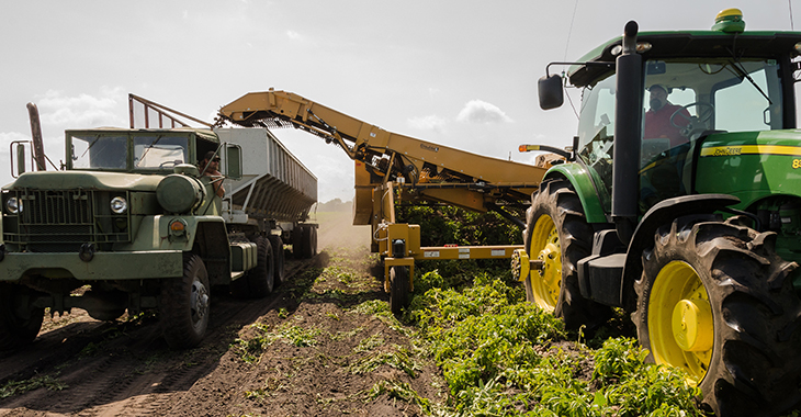 tractor harvesting in a field